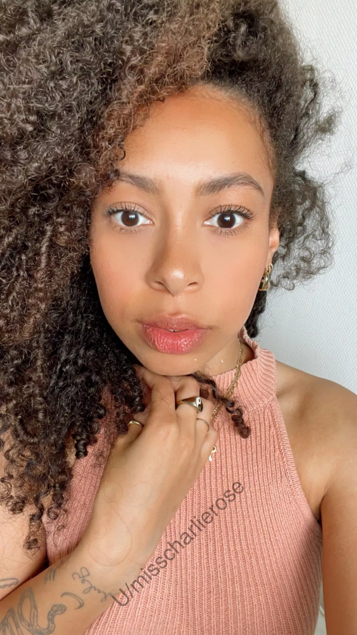 Dutch x Surinamese