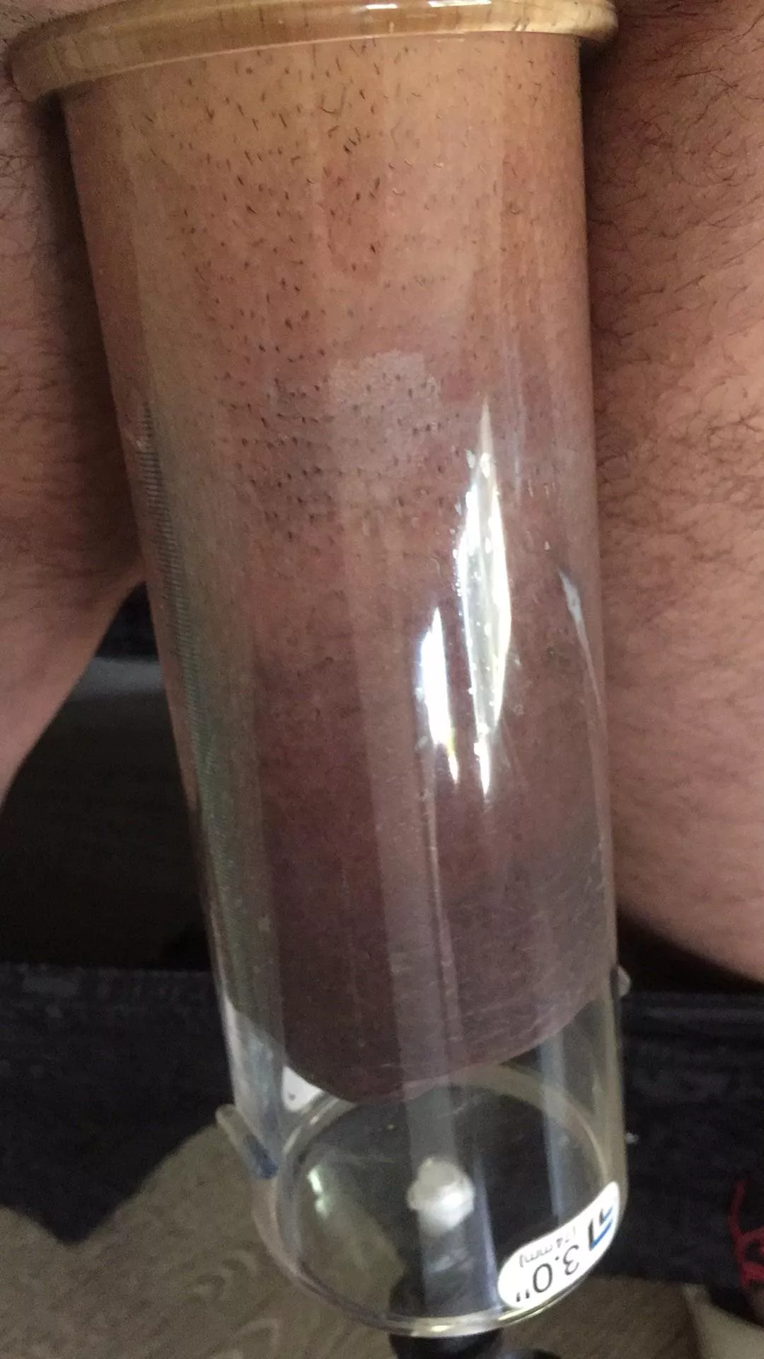 Elephant cock