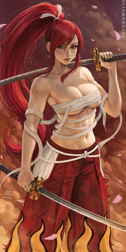 Erza (Sciamano240) [Fairy Tail]