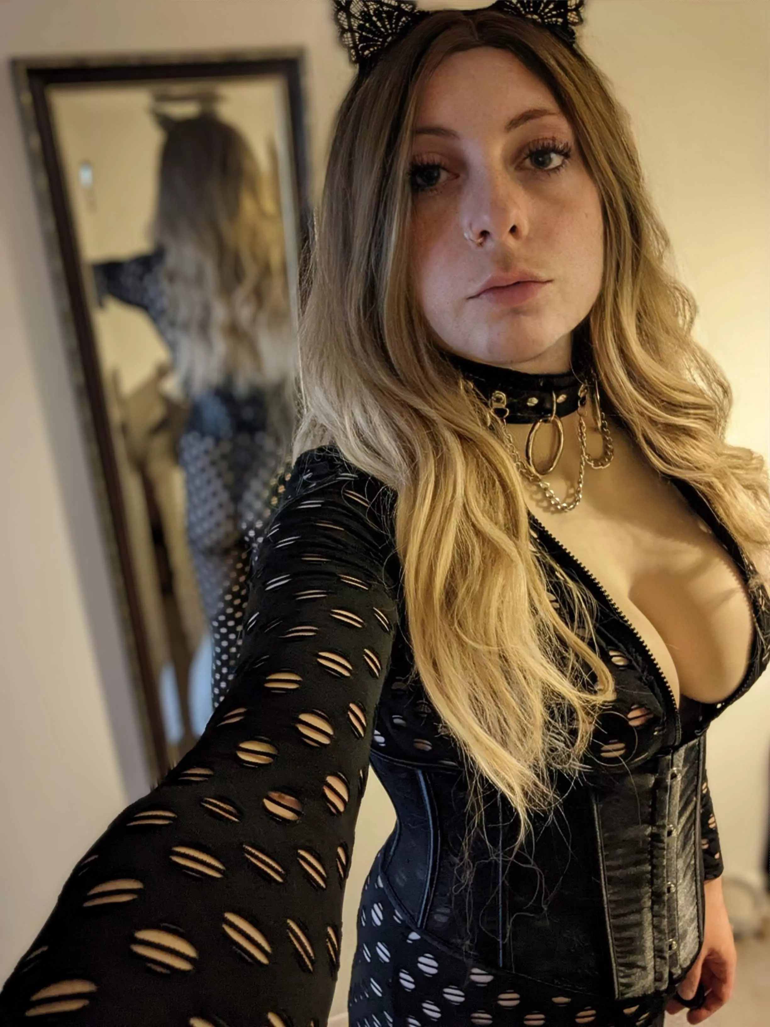 Evening guys