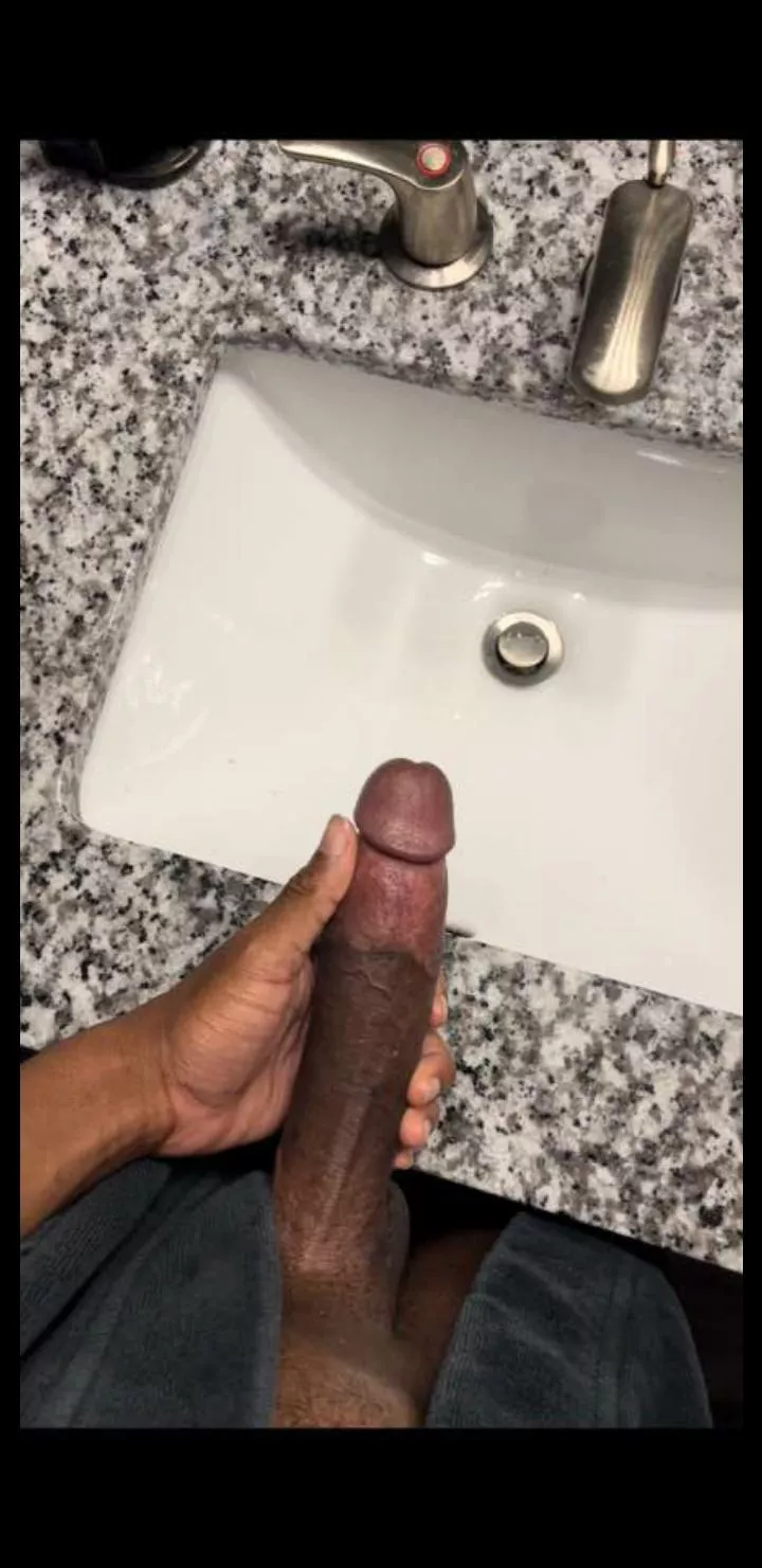 Evening wood