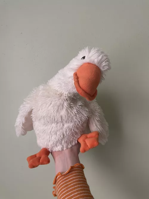 everyone must look at my new duckie!!!!! his name is scooby😋