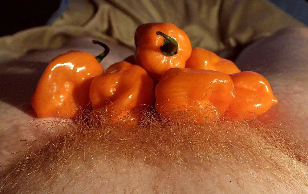 Extra spicy [oc]