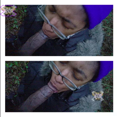 [F]🌲🌲🌲🌲🐿️