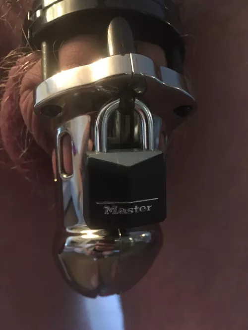 Feeling happy in my cage today 🥰