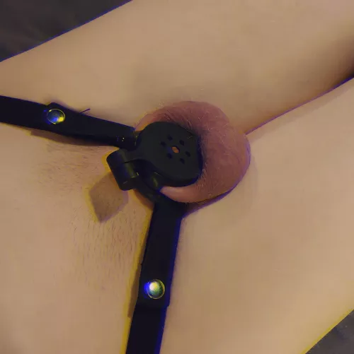 feels like i don't even have a cock anymore... i love it🧚‍♀️