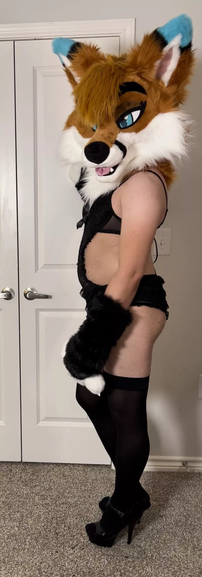 Femboy fox