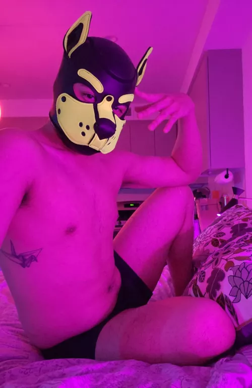 Finally pupping out late Sunday night. Better late than never awroorooorooo~