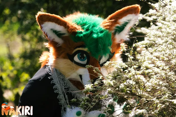 Finally spring time! So much good smelling flowers 💐 and sun ☀️. It seems like i got the spring fever! ❤️