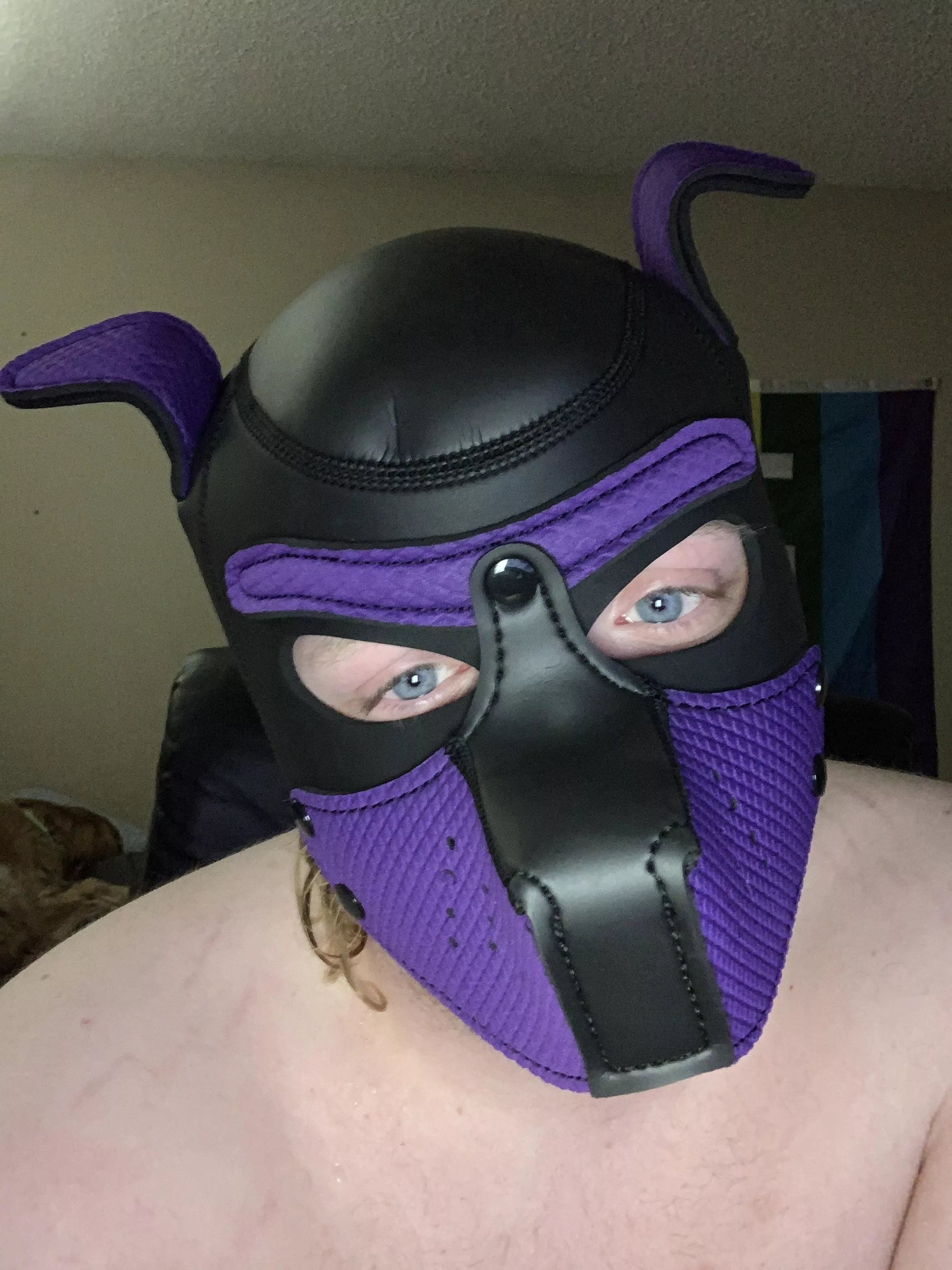 First hoood woof