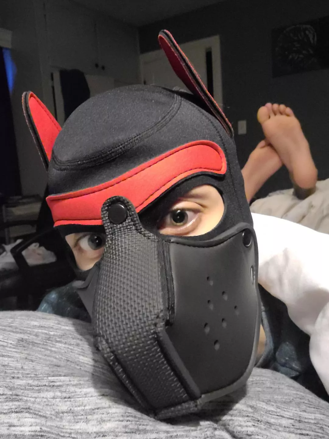 First post 😁