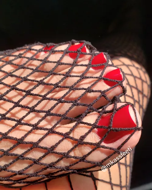 fishnet day 🦊🔥