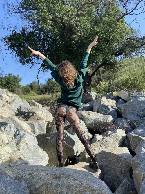 Fishnets in the wild!