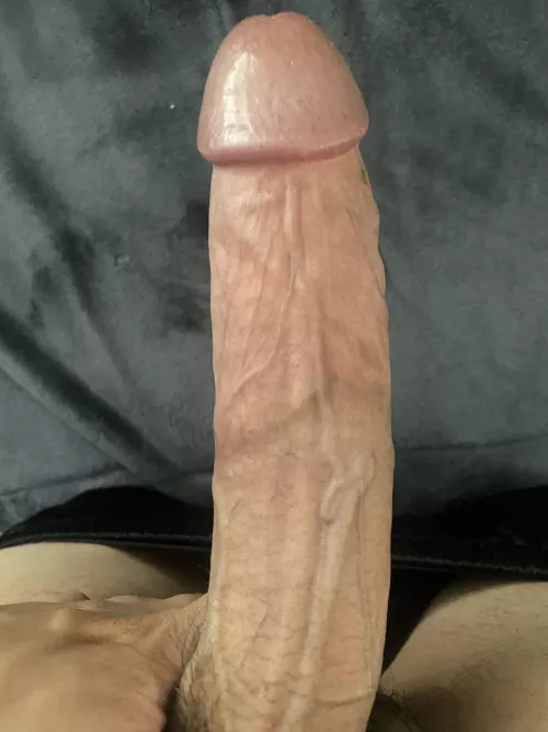 FIT HUNG BULL 8in. 28 5’9 #SOCAL TRAVEL FRIENDLY.