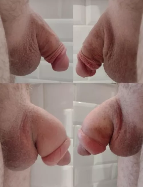 flaccid, normal verses pumped