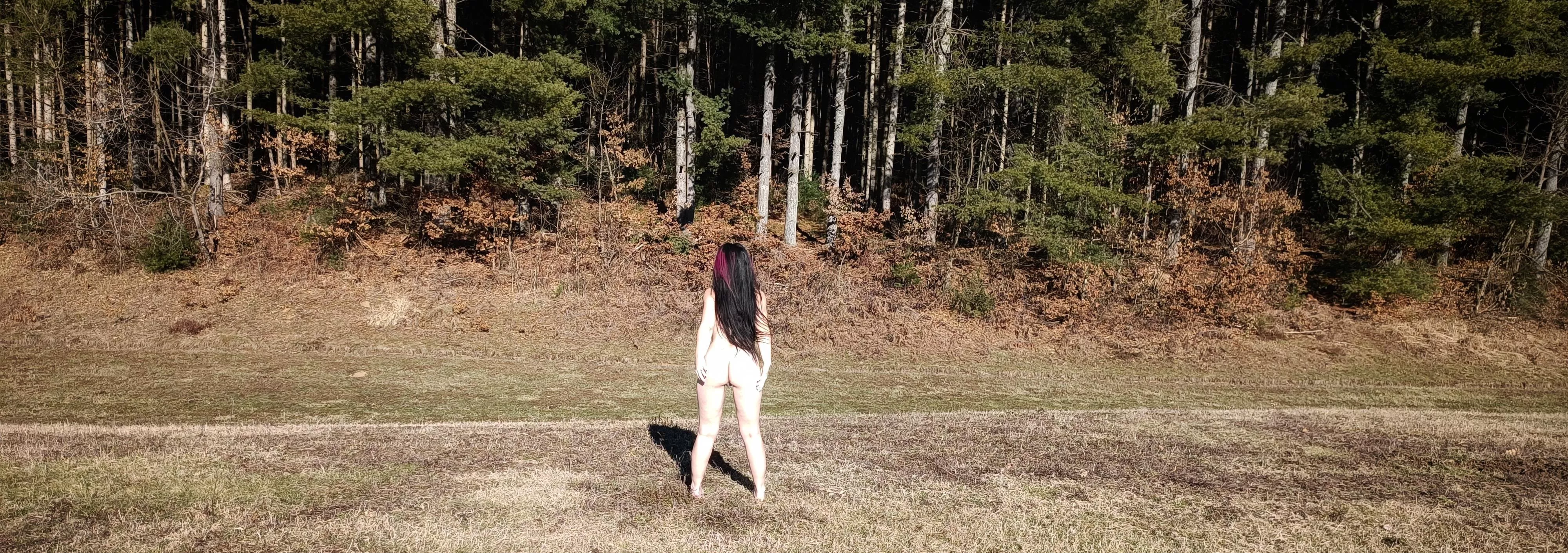 Flashing the forest!