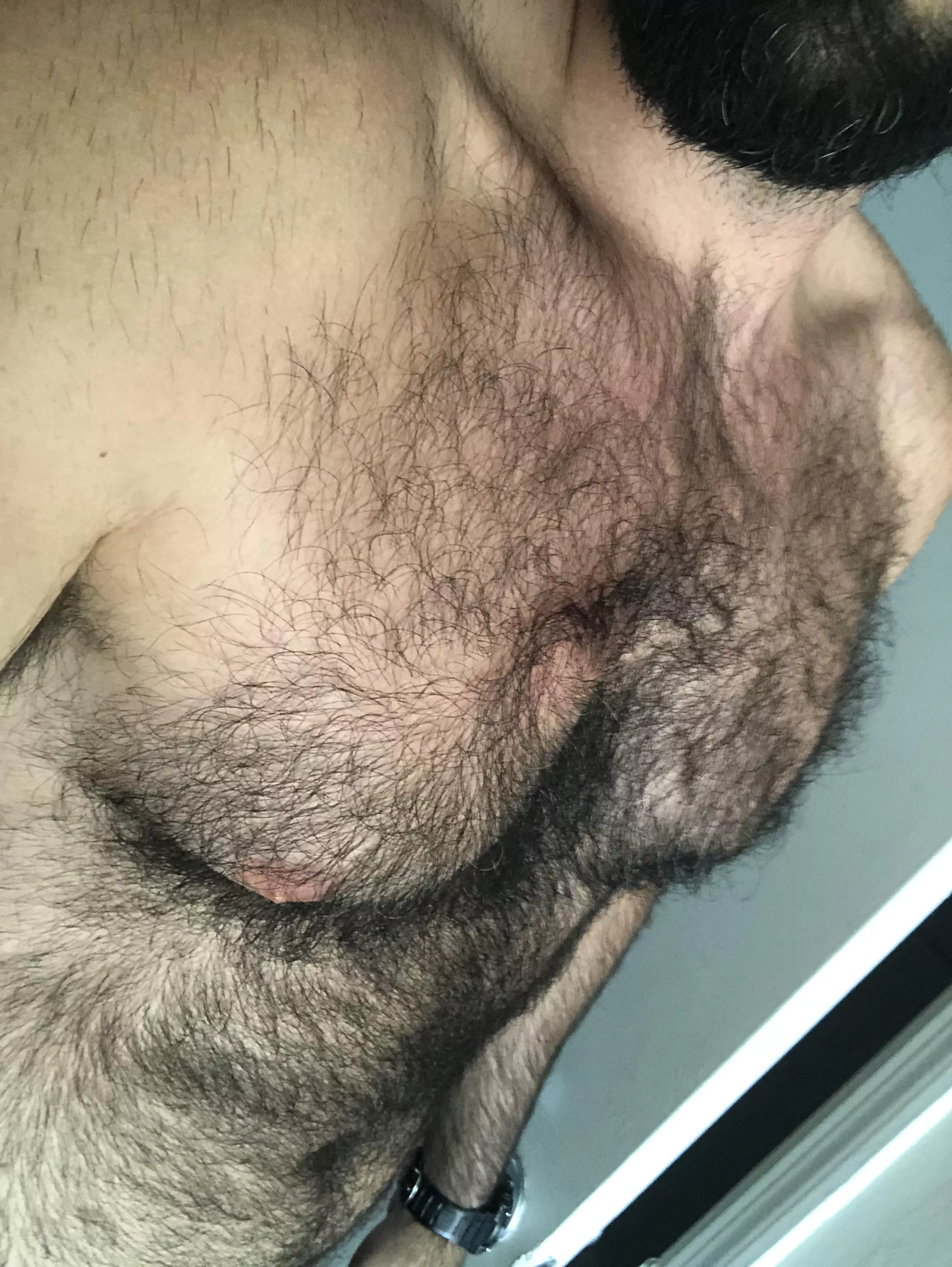 For the hairy chest lover’s