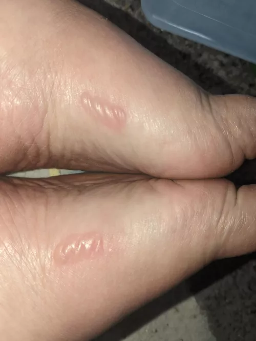 Forbidden Pop from new shoes