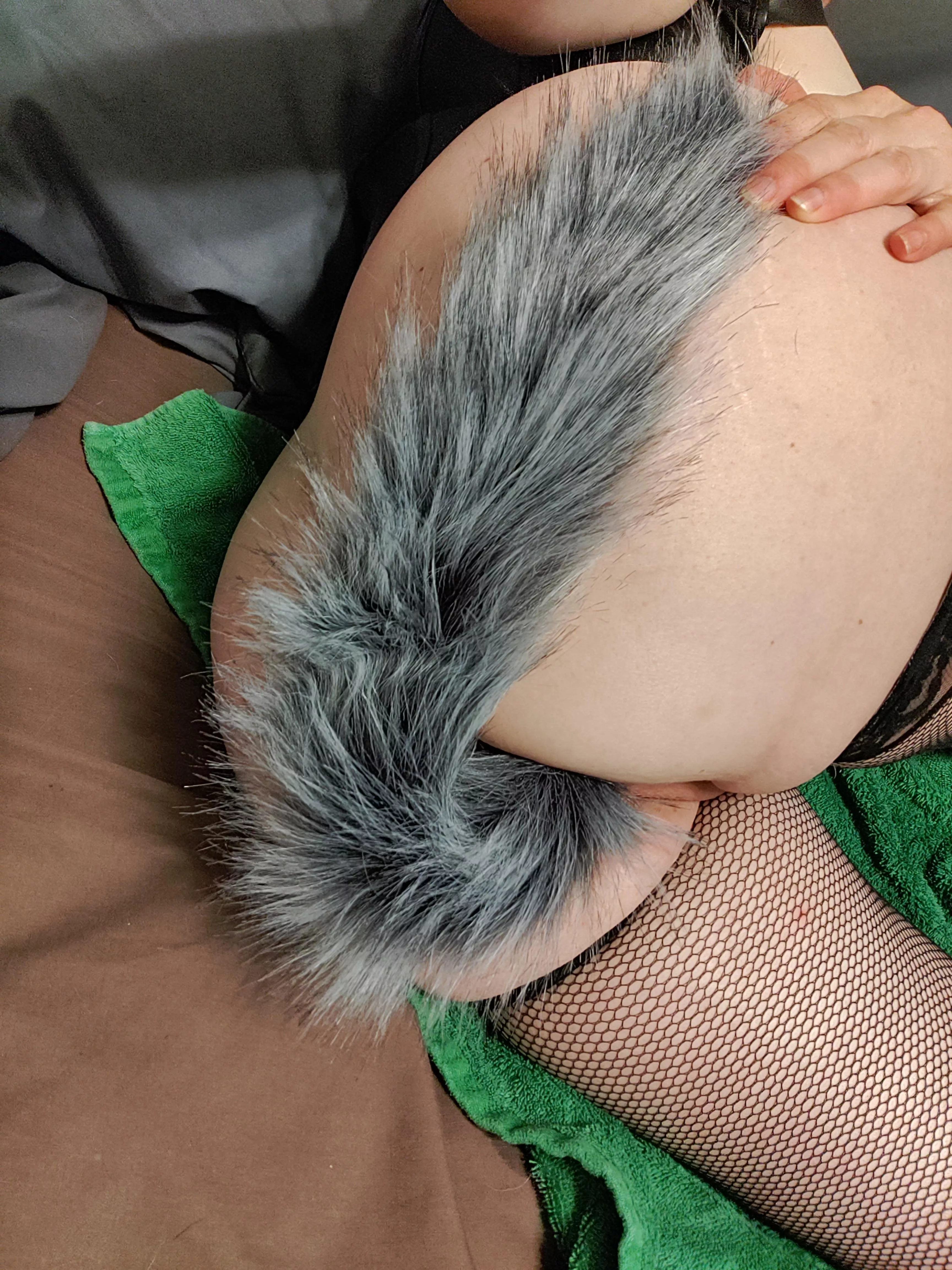 Foxy