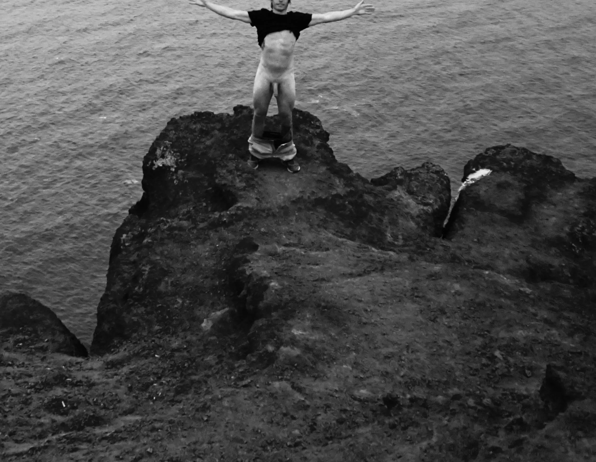 Free Willy