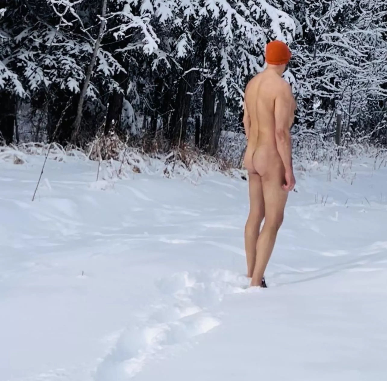 Fresh snowfall - Brrr!