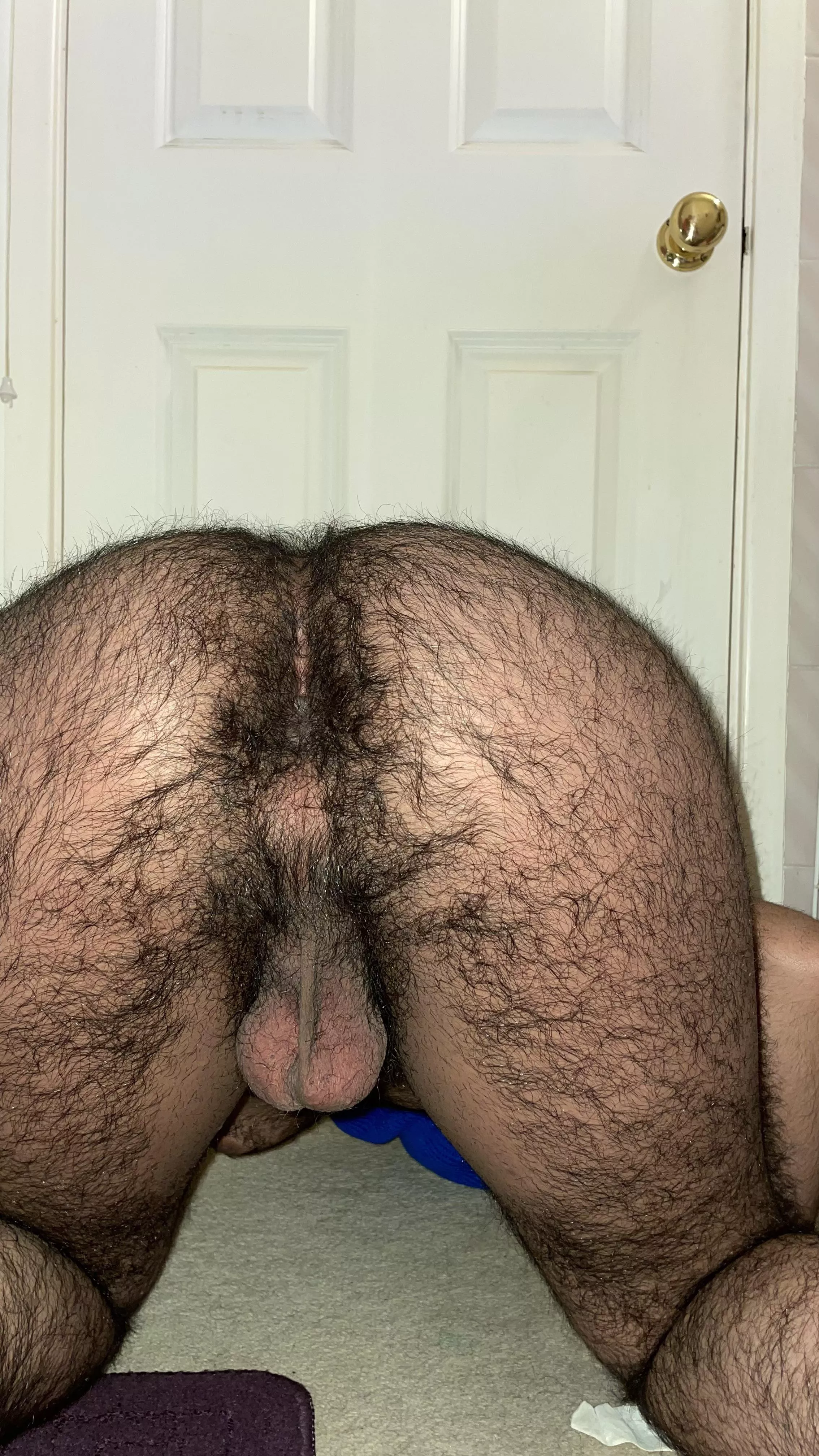 Fuck me doggy style