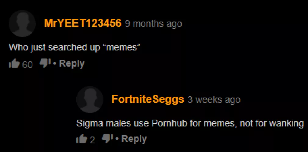 Fuck porn, me and my homies use the hub for memes