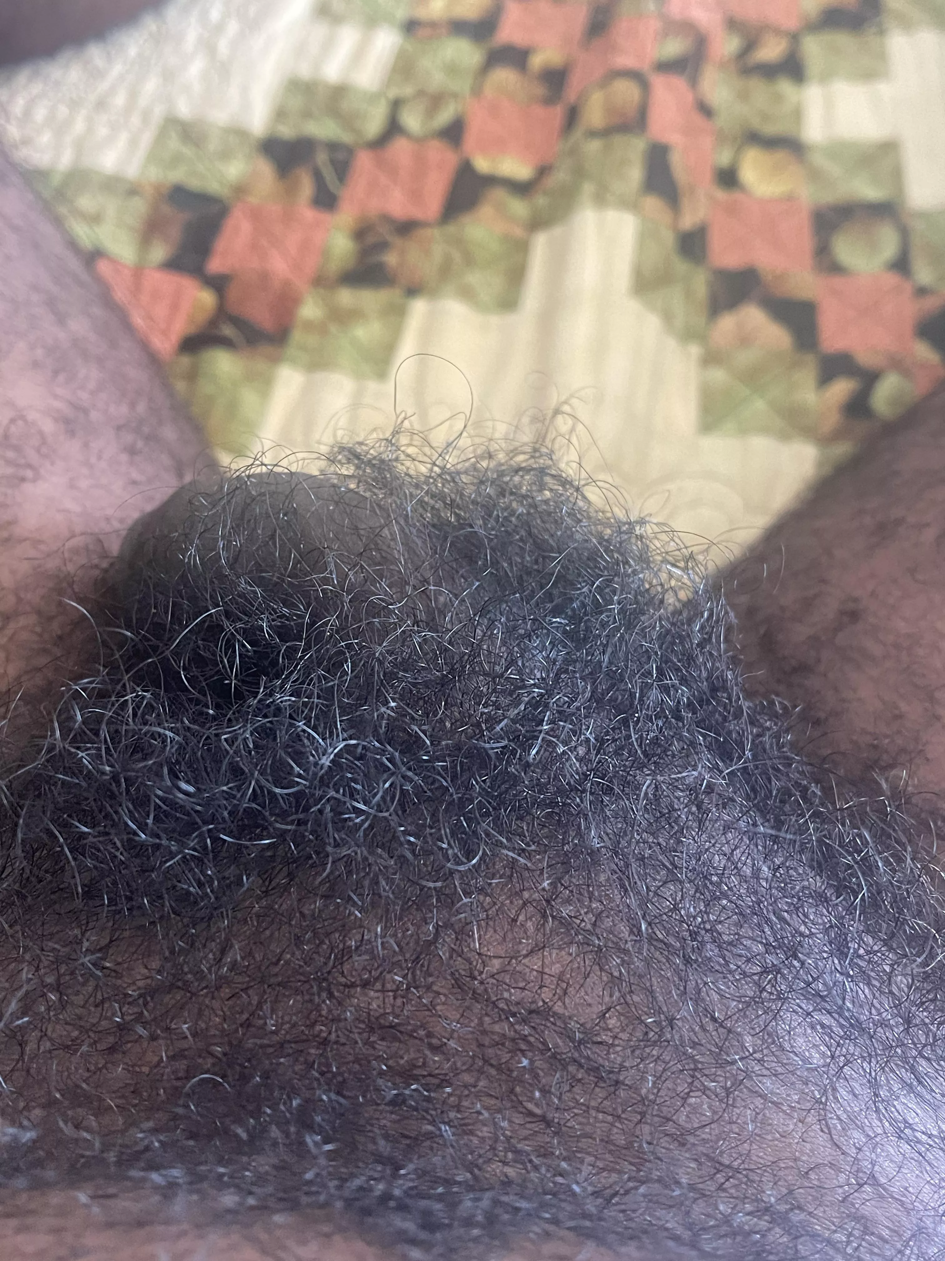 Full bush
