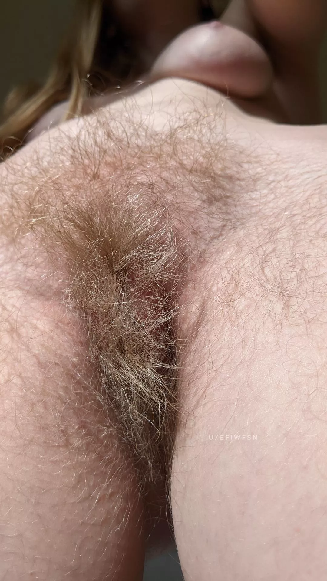 Fully grown