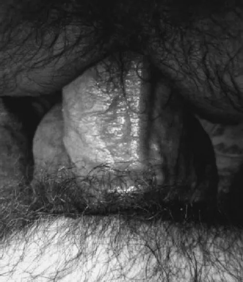 “Furry entry” …