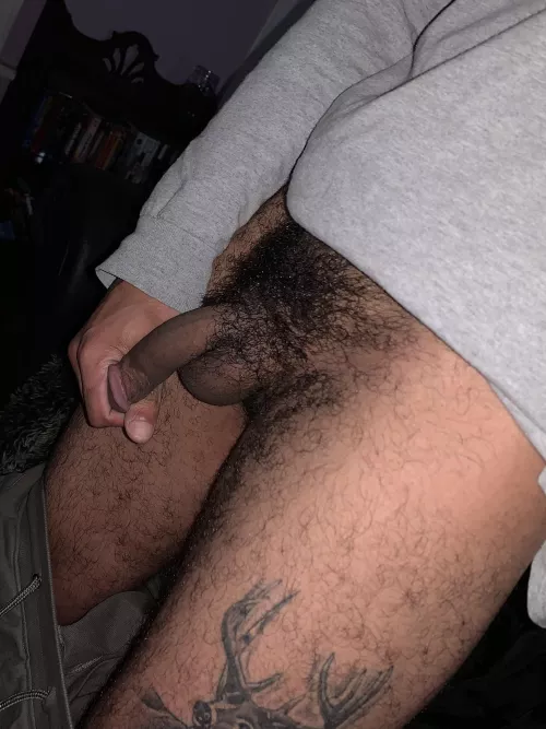 Gave the boys a trim today