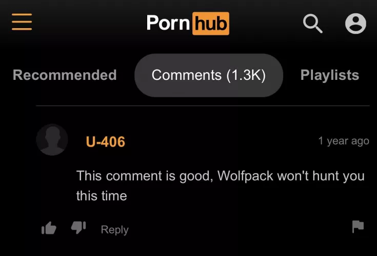 Germany Navy keeping PornHub safe