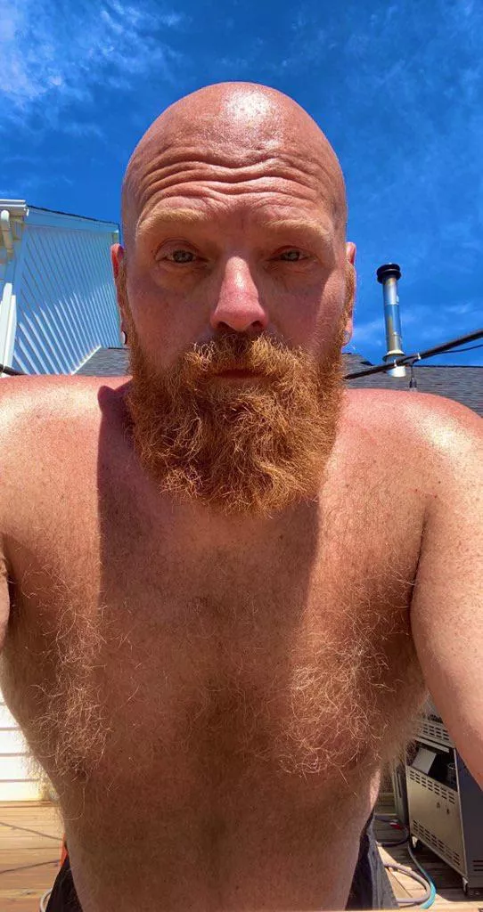 Ginger Spring!