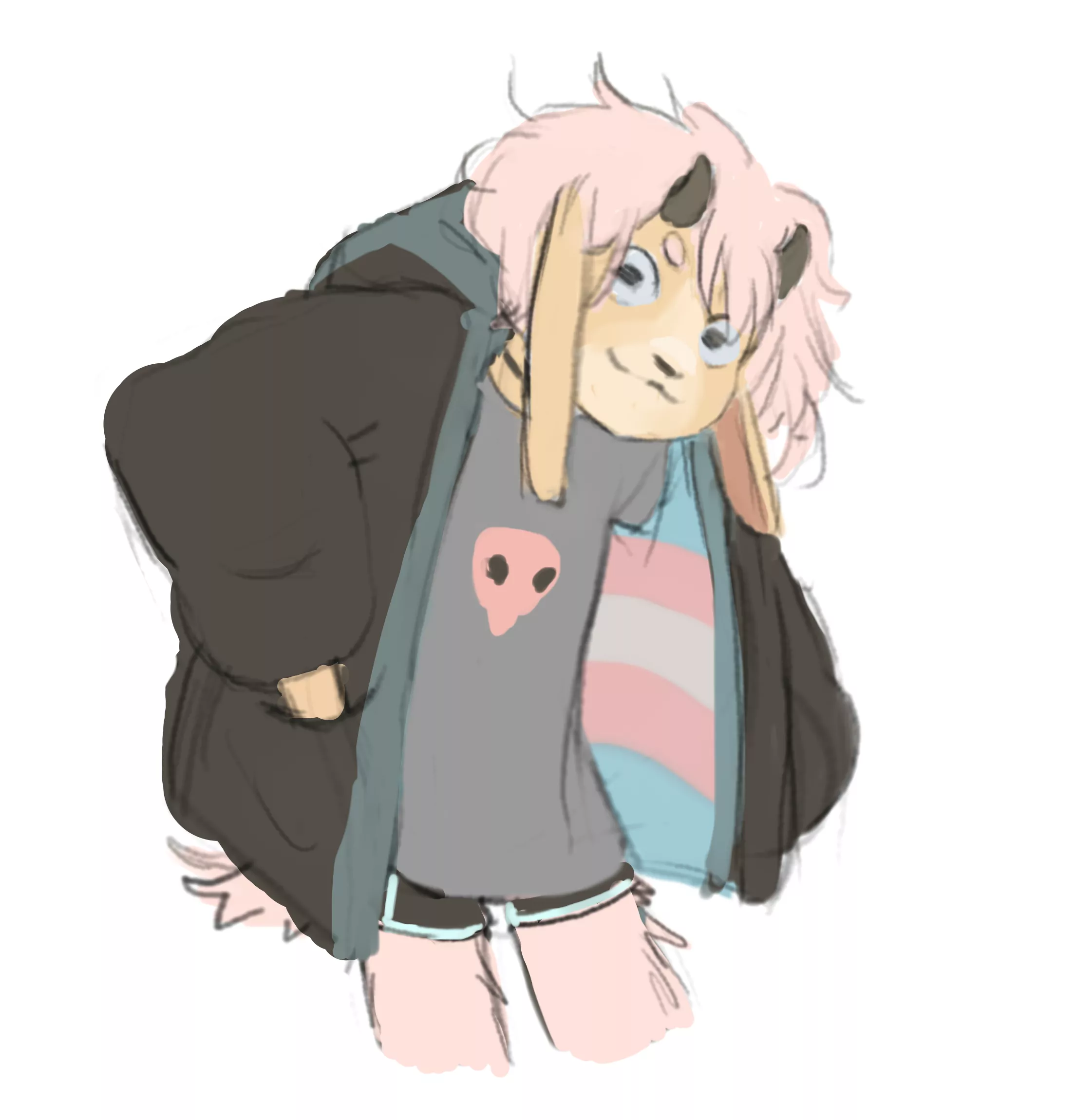goat in a coat