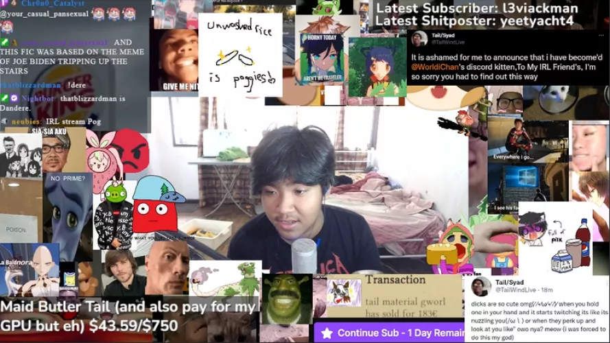 gonna keep this anonymous for the streamers sake ,but what are your opinions on streamer .overlays like these? One's that are basically bombarded with things on the screen,