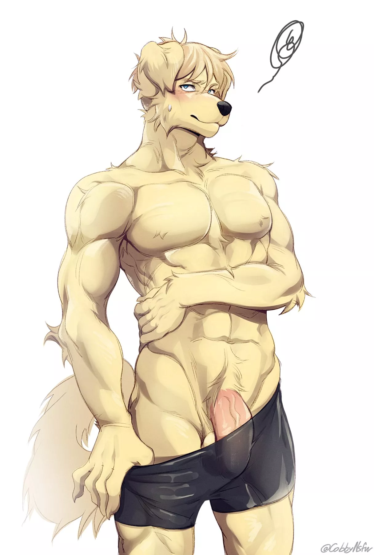 Good boy (Cobby)