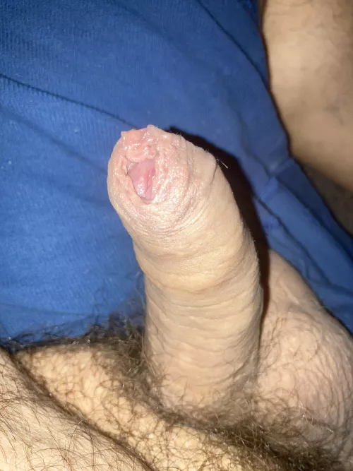 Good enough to lick?