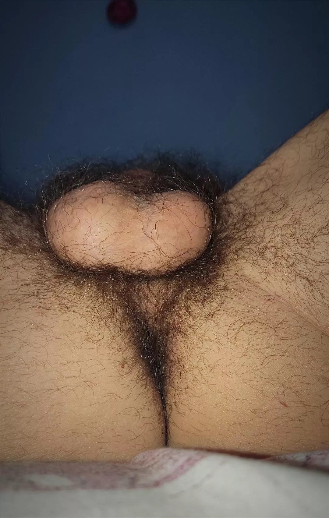 good evening