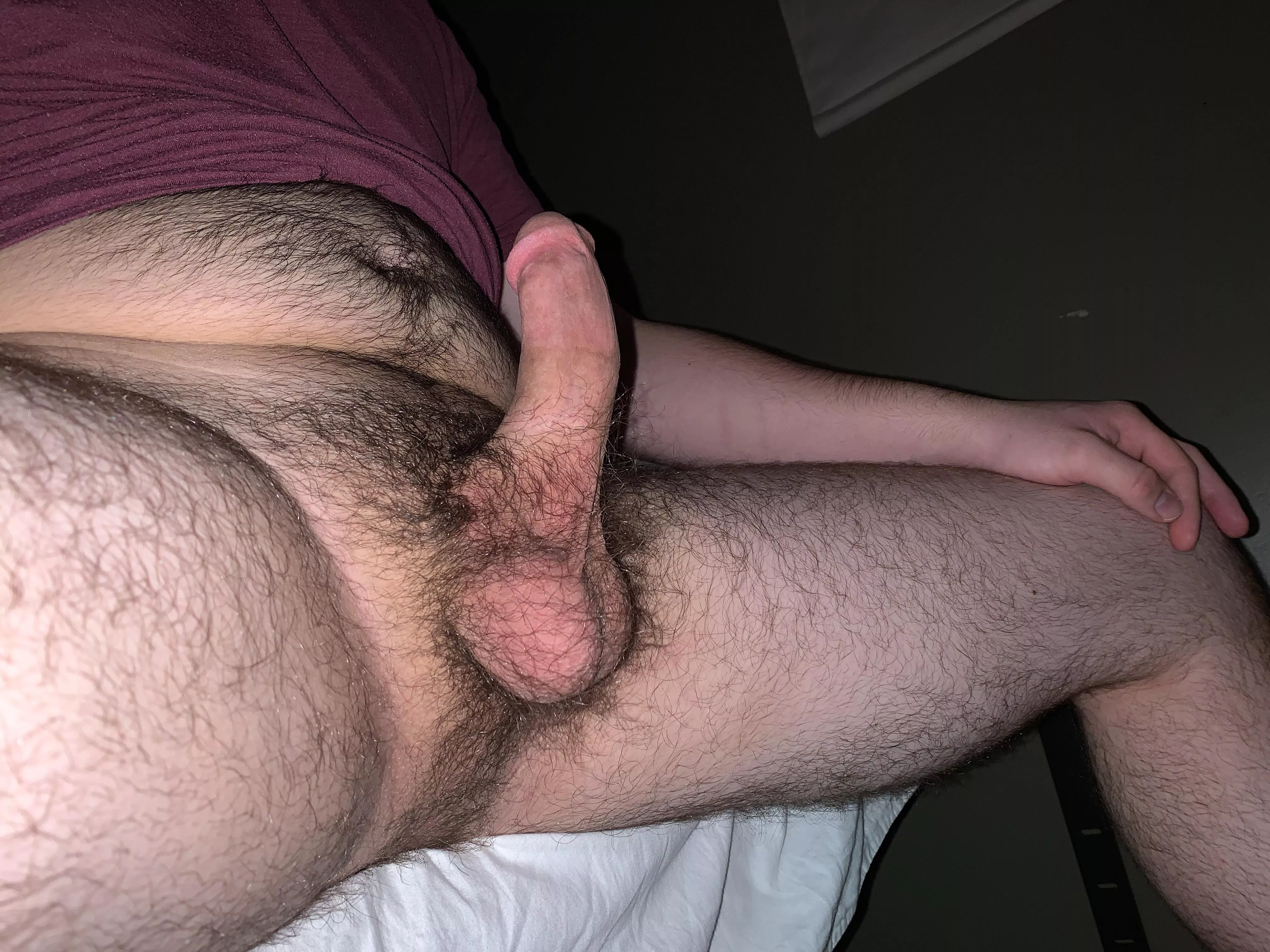 Good mornin bears