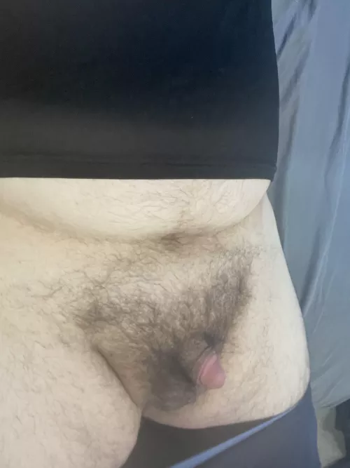 Good morning. DMs open.