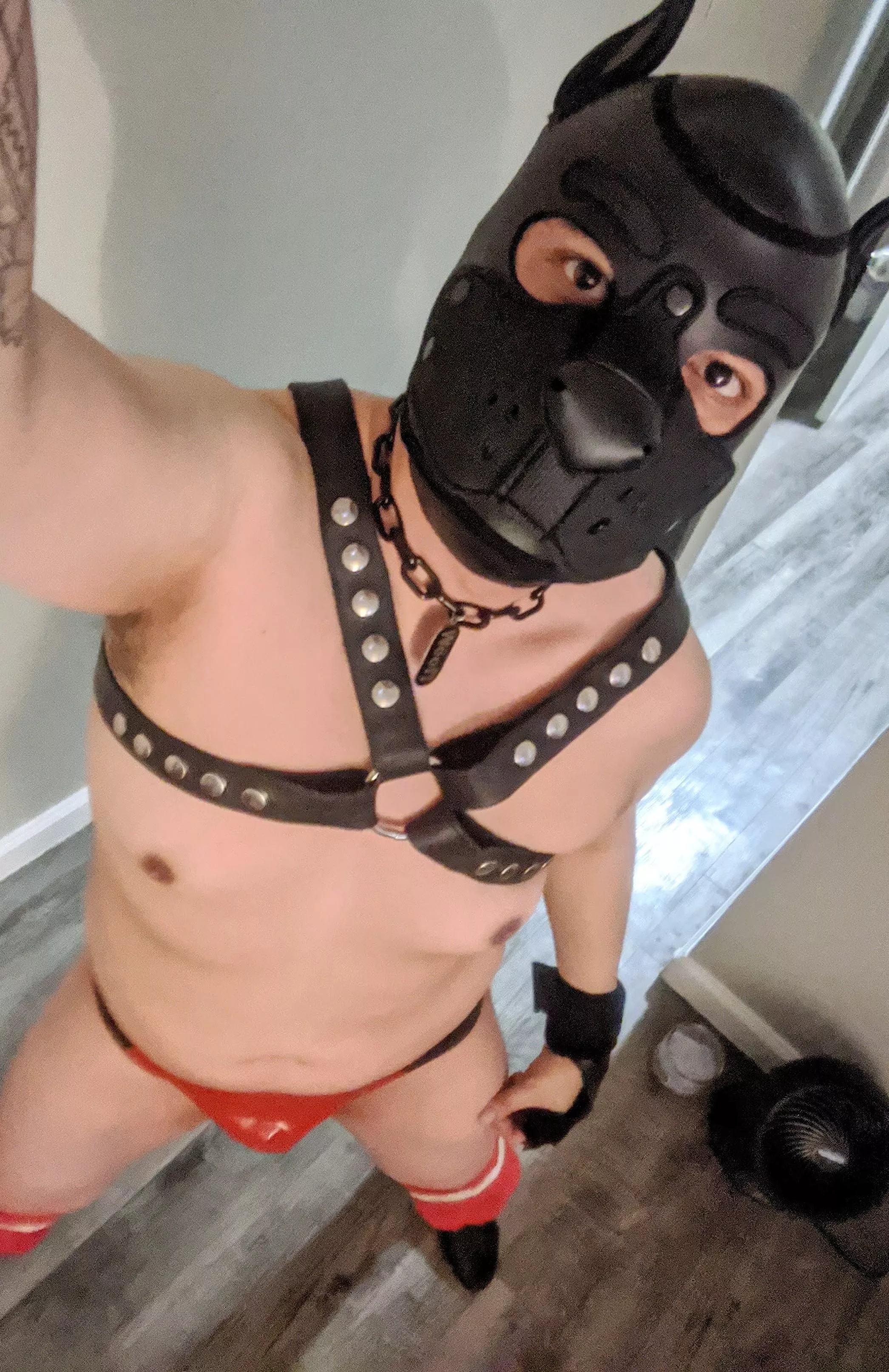 Good morning 🐾