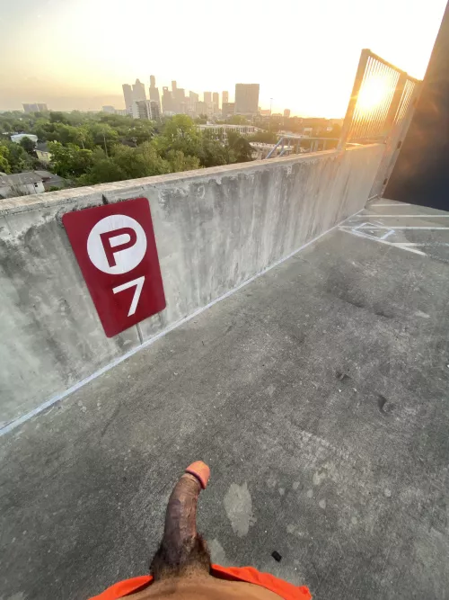 Good morning from my post run cool down spot.