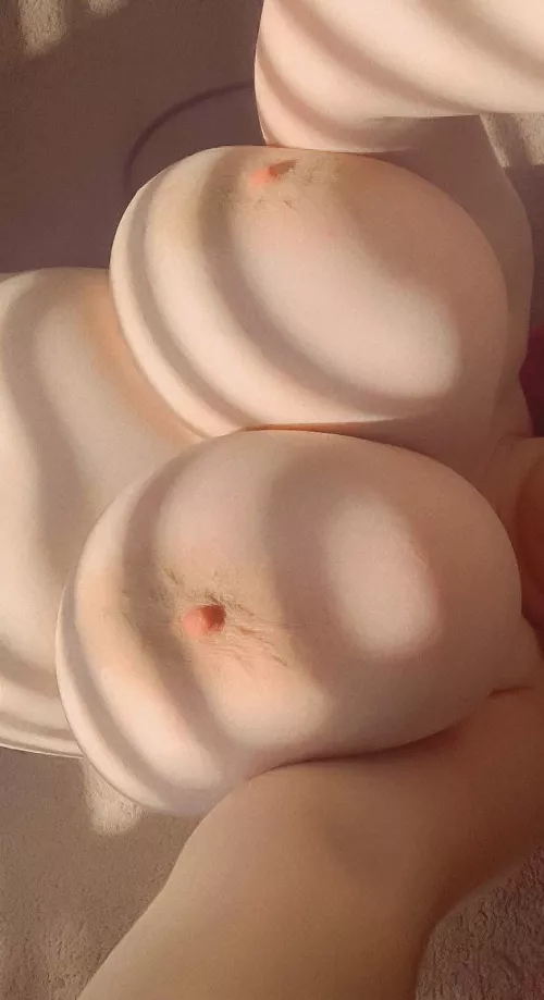 Good morning sunshine ☀️