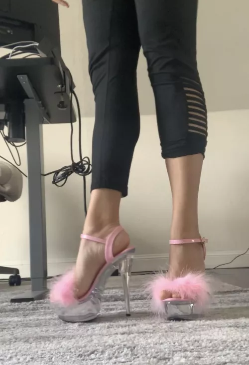 got some new fluffy ones 💕