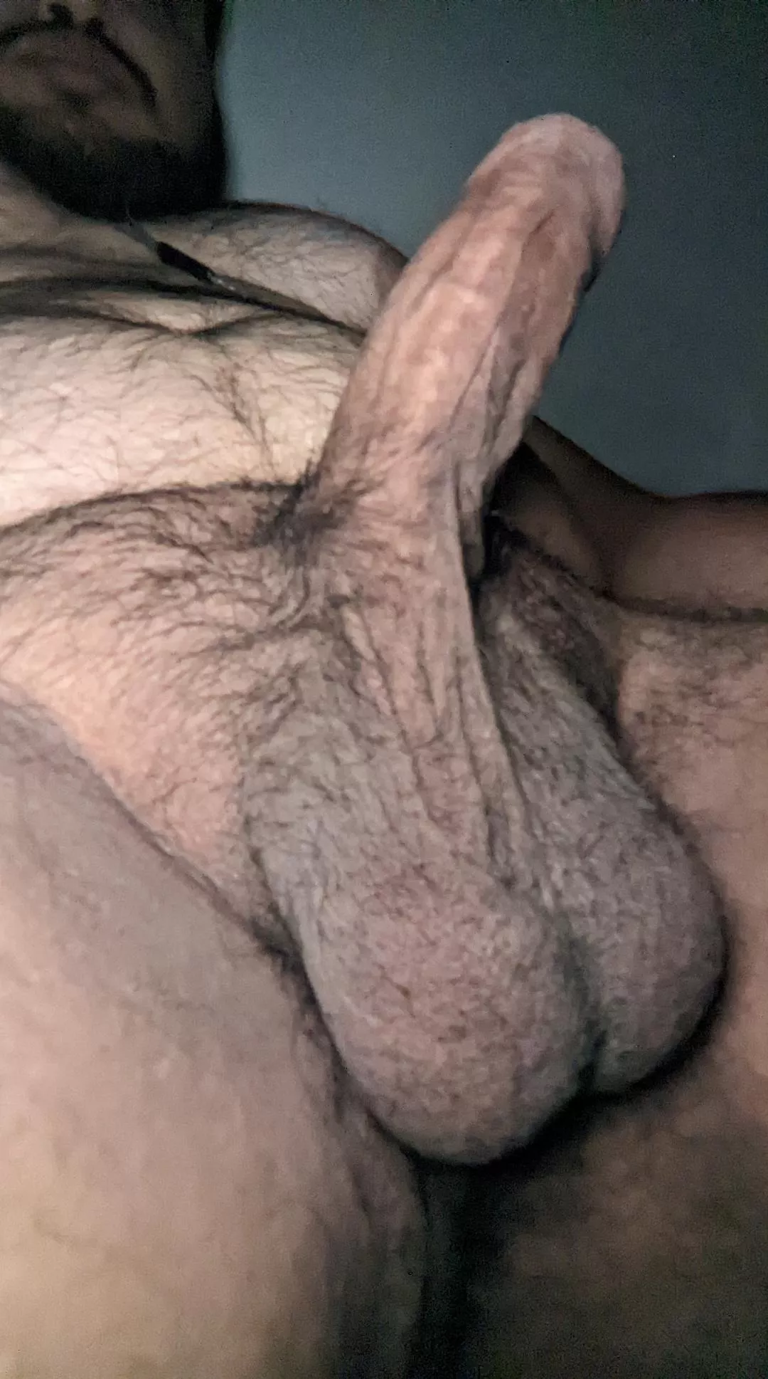 hairy and exotic.