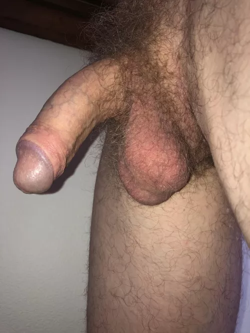 Hairy and hanging
