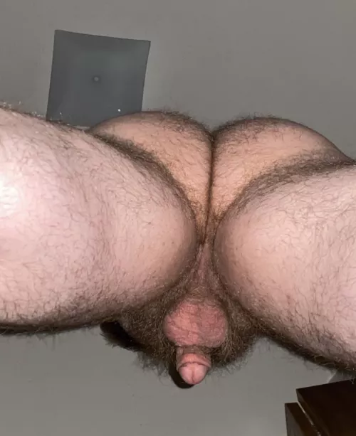 Hairy ass from below