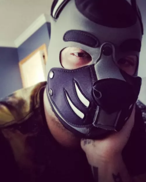 Happy 420 from a stoned doggo