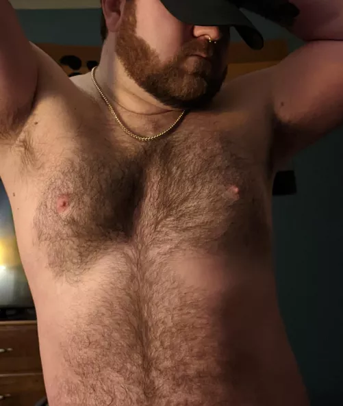 🐻 Happy Evening 👋