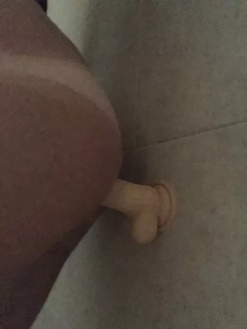 happy Friday boys!!! anyone wanna replace my toy for me?